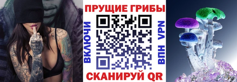 Галлюциногенные грибы Psilocybine cubensis  Назрань 